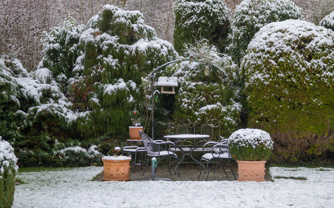 Snow-covered backyard patio with outdoor seating and evergreen landscaping during winter